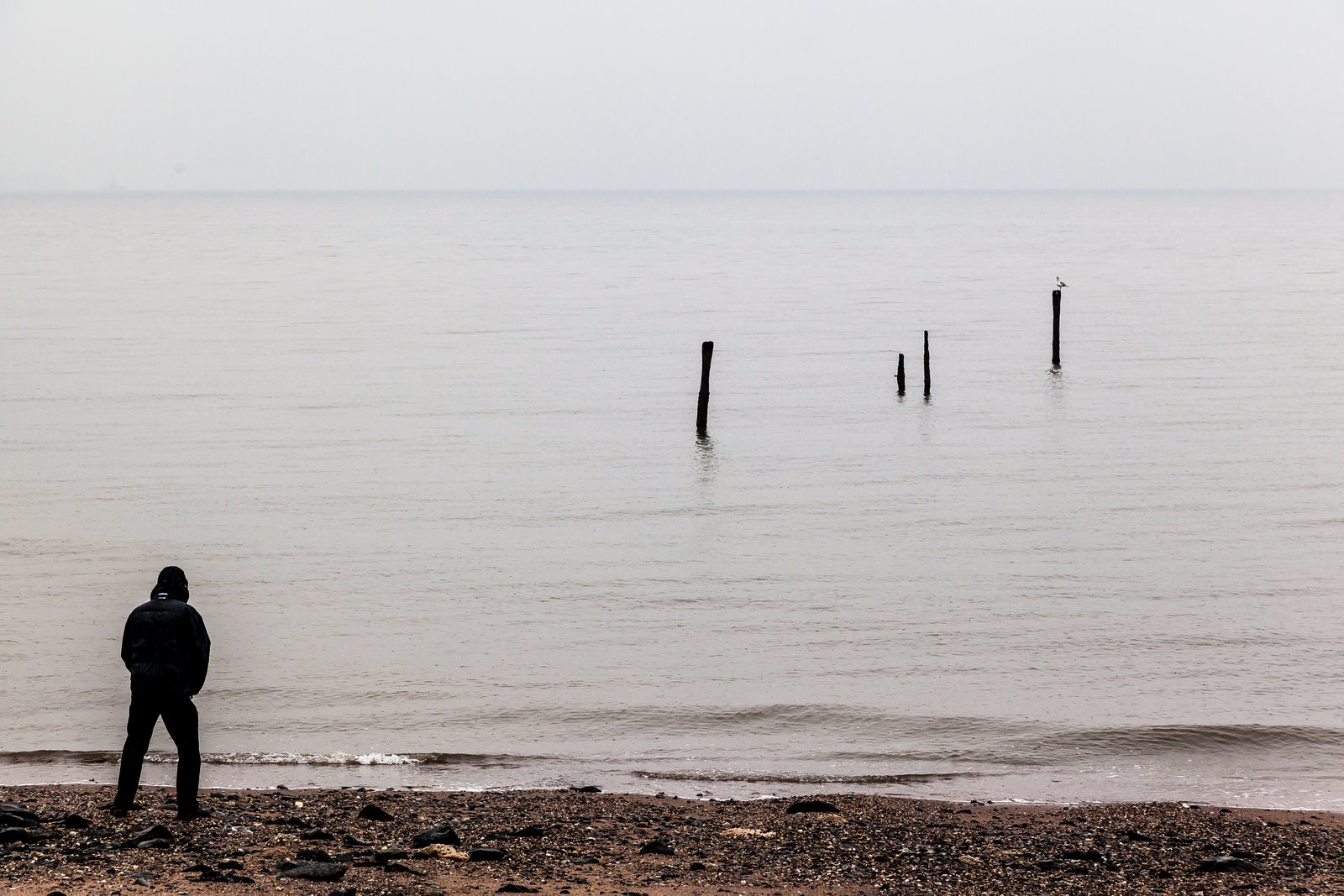 art-of-sandy-mo-staten island 2-64.jpg